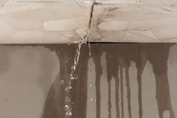 Professional Sewage Cleanup technician working in Drybranch, WV